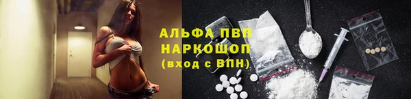 молекула духа Гусиноозёрск