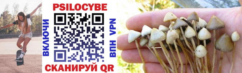 Псилоцибиновые грибы Psilocybe  Заинск 